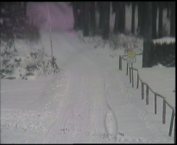 Nástup na běžecké tratě