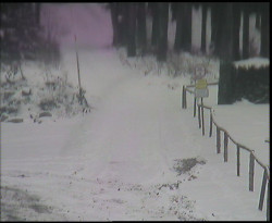 Nástup na běžecké tratě