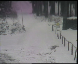 Nástup na běžecké tratě