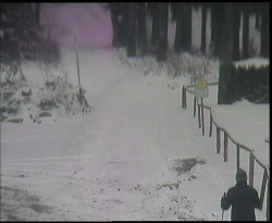 Nástup na běžecké tratě