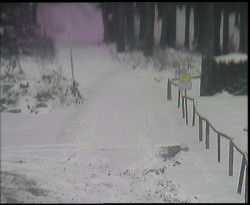 Nástup na běžecké tratě