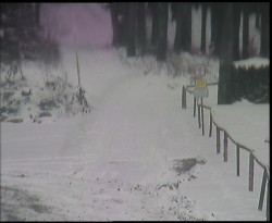 Nástup na běžecké tratě