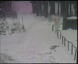 Nástup na běžecké tratě