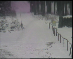 Nástup na běžecké tratě