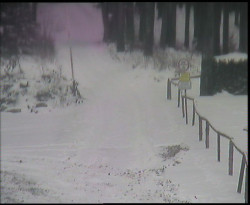 Nástup na běžecké tratě