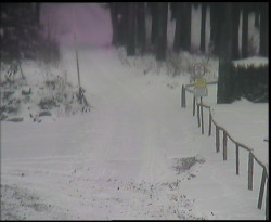 Nástup na běžecké tratě