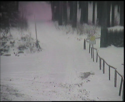 Nástup na běžecké tratě