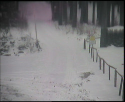 Nástup na běžecké tratě