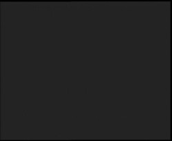 Nástup na běžecké tratě