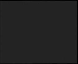 Nástup na běžecké tratě