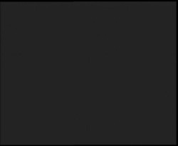 Nástup na běžecké tratě