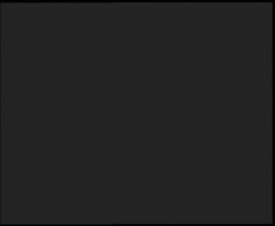 Nástup na běžecké tratě