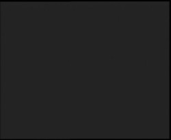 Nástup na běžecké tratě