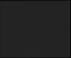 Nástup na běžecké tratě