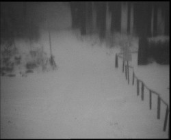 Nástup na běžecké tratě