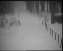 Nástup na běžecké tratě