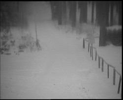 Nástup na běžecké tratě