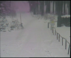 Nástup na běžecké tratě