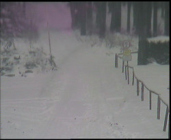 Nástup na běžecké tratě