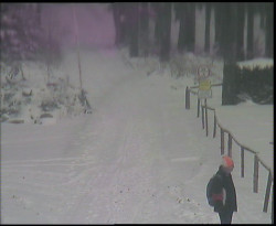 Nástup na běžecké tratě