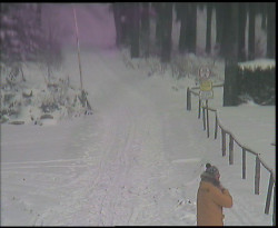 Nástup na běžecké tratě