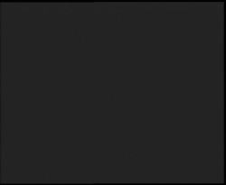 Nástup na běžecké tratě