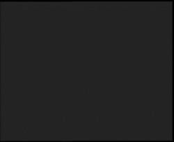 Nástup na běžecké tratě