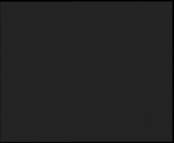 Nástup na běžecké tratě