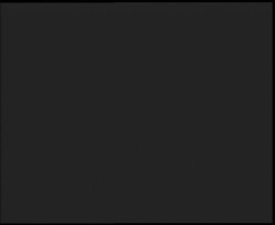 Nástup na běžecké tratě