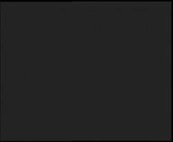 Nástup na běžecké tratě