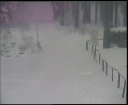 Nástup na běžecké tratě