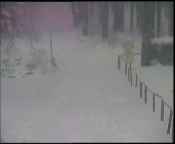 Nástup na běžecké tratě