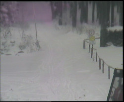 Nástup na běžecké tratě