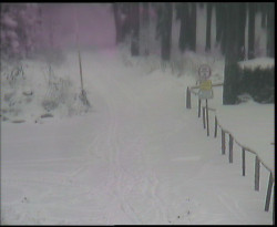 Nástup na běžecké tratě