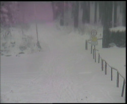 Nástup na běžecké tratě