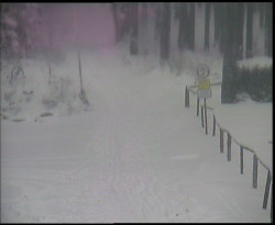 Nástup na běžecké tratě