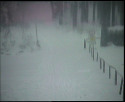 Nástup na běžecké tratě