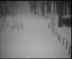 Nástup na běžecké tratě