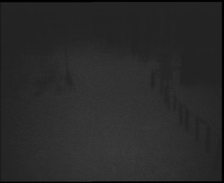 Nástup na běžecké tratě