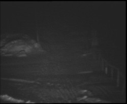 Nástup na běžecké tratě