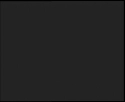 Nástup na běžecké tratě