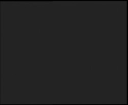 Nástup na běžecké tratě