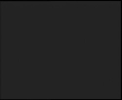 Nástup na běžecké tratě