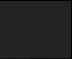 Nástup na běžecké tratě