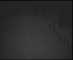 Nástup na běžecké tratě