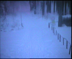 Nástup na běžecké tratě