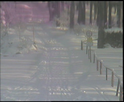 Nástup na běžecké tratě