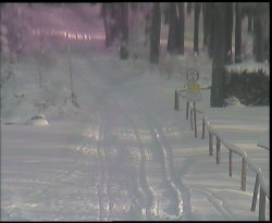 Nástup na běžecké tratě