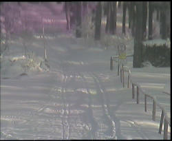 Nástup na běžecké tratě