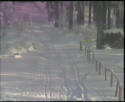 Nástup na běžecké tratě